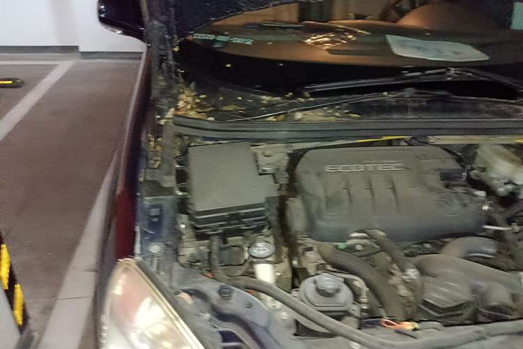 Used Buick GL8 2012 2.4L BASE Comfort Edition Engine Bay Right