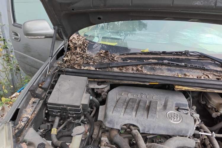 Used Buick GL8 2012 2.4L BASE Comfort Edition Engine Bay Right