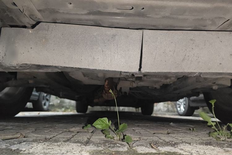 Used Buick GL8 2012 2.4L BASE Comfort Edition Chassis Front