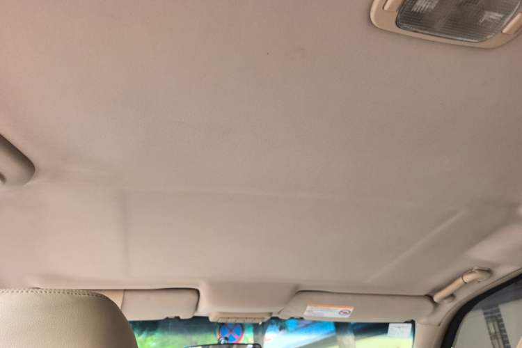 Used Buick GL8 2013 2.4L Classic Edition Headliner