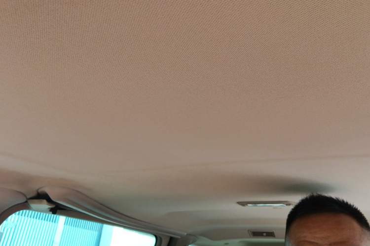 Used Buick GL8 2013 2.4L Classic Edition Headliner