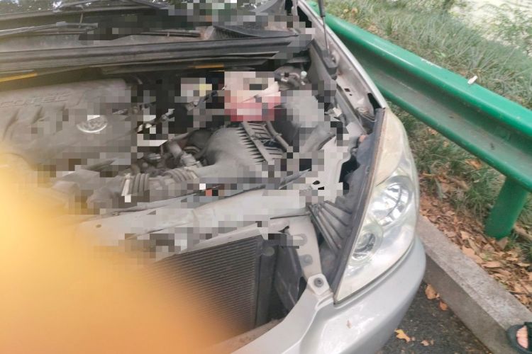 Used Buick GL8 2013 2.4L Executive Edition Engine Bay Left