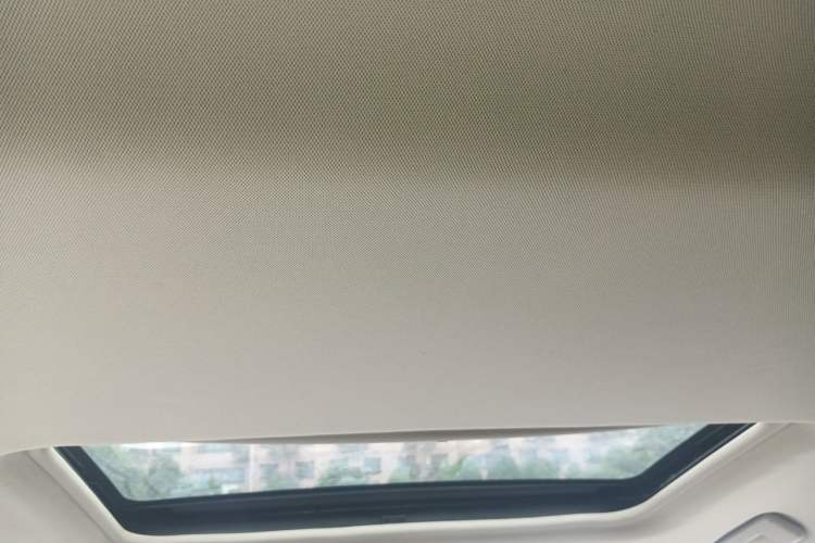 Used Buick GL8 2013 2.4L CT Luxury Business Comfort Edition Headliner