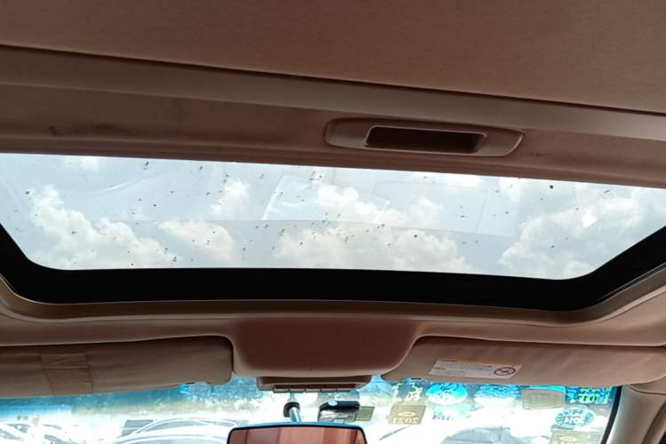 Used Buick GL8 2013 2.4L Executive Edition Headliner