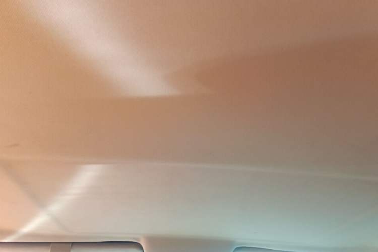 Used Buick GL8 2014 2.4L Classic Edition Headliner