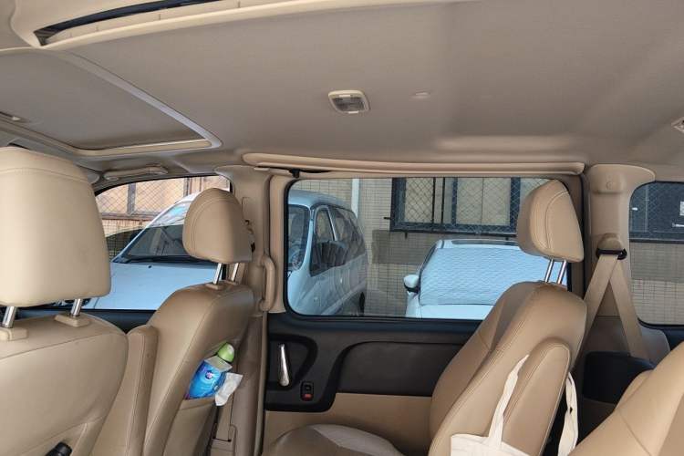 Used Buick GL8 2014 2.4L Executive Edition Headliner