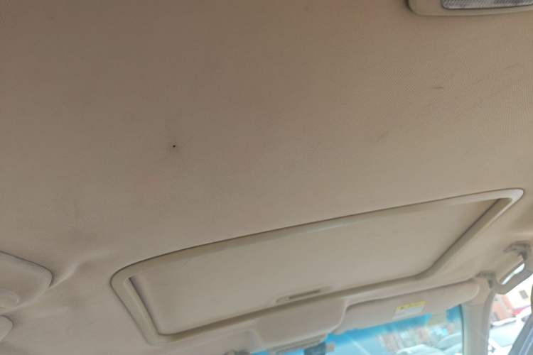 Used Buick GL8 2014 2.4L Executive Edition Headliner