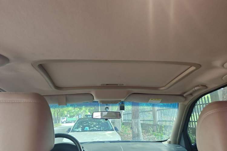 Used Buick GL8 2014 2.4L Executive Edition Headliner