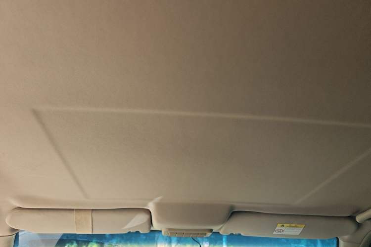 Used Buick GL8 2014 2.4L Classic Edition Headliner