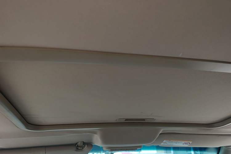 Used Buick GL8 2014 2.4L Executive Edition Headliner