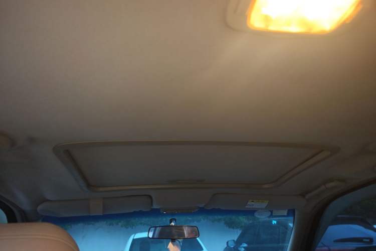 Used Buick GL8 2014 2.4L Executive Edition Headliner