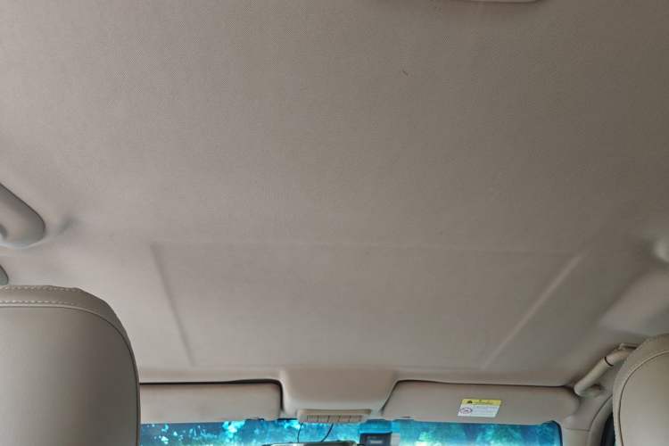 Used Buick GL8 2014 2.4L Classic Edition Headliner