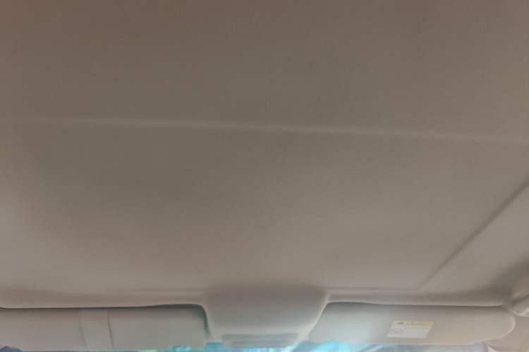 Used Buick GL8 2014 2.4L Classic Edition Headliner