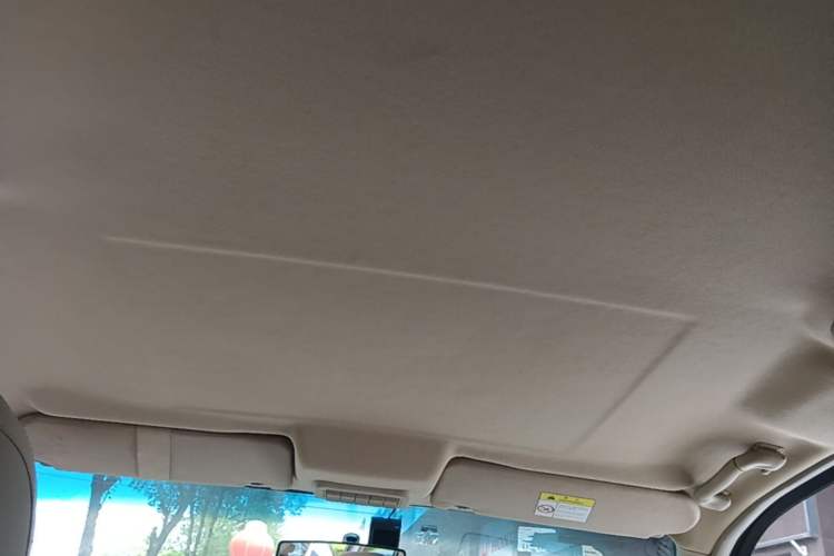 Used Buick GL8 2014 2.4L Classic Edition Headliner