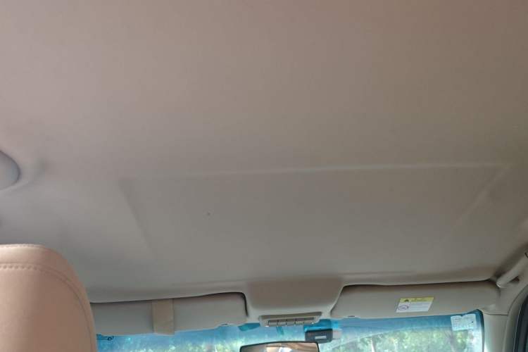 Used Buick GL8 2014 2.4L Classic Edition Headliner