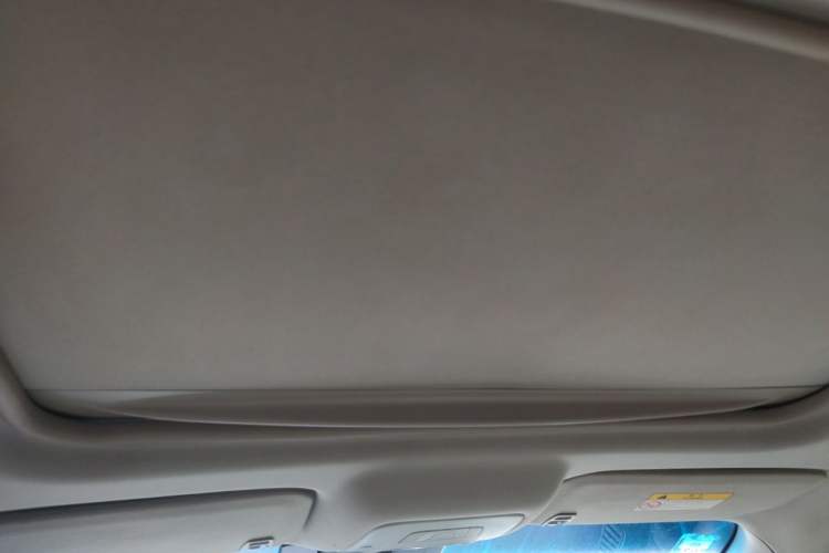 Used Buick GL8 2015 2.4L Luxury Business Premium Edition Headliner