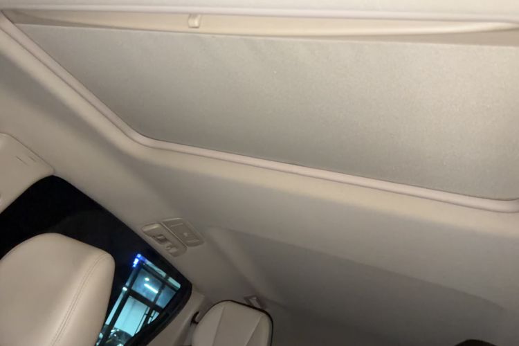 Used Buick GL8 2017 25S Luxury Version China V Standard Headliner