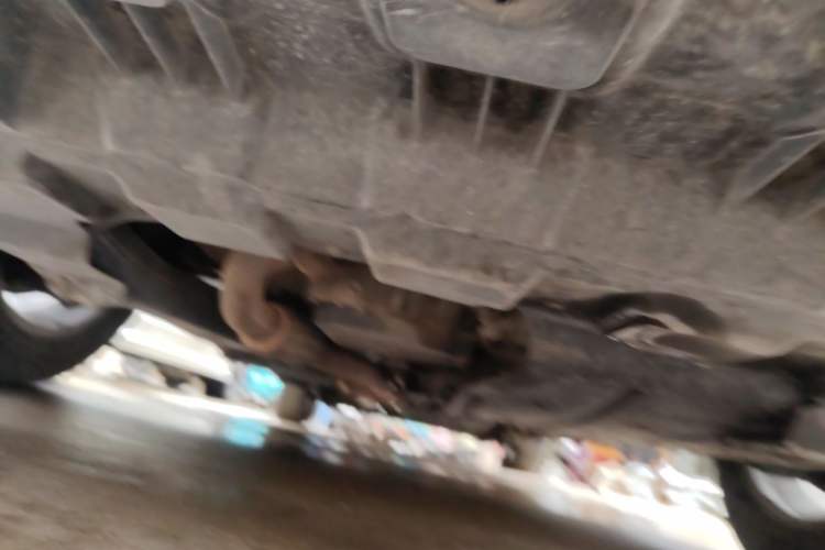 Used Buick GL8 2017 25S Prestige Version China V Standard Chassis Front