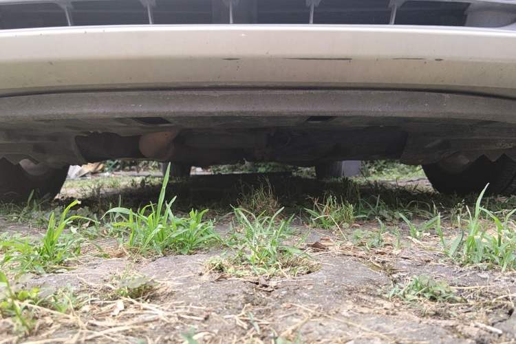 Used Buick GL8 2017 ES 28T Comfort Model China V Standard Chassis Front