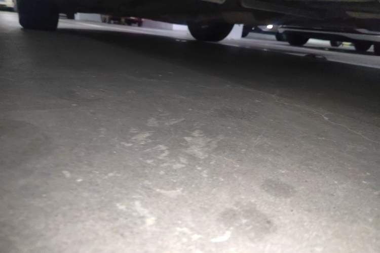 Used Buick GL8 2017 ES 28T Flagship Model China V Standard Chassis Rear Left