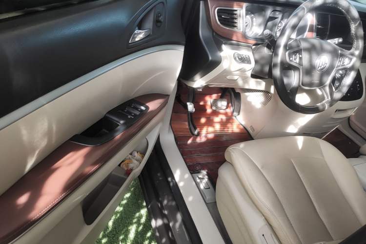 Used Buick GL8 2017 25S Luxury Version China V Standard Driver Seat