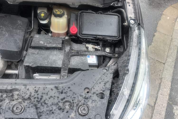 Used Buick GL8 2017 25S Luxury Version China V Standard Engine Bay Left
