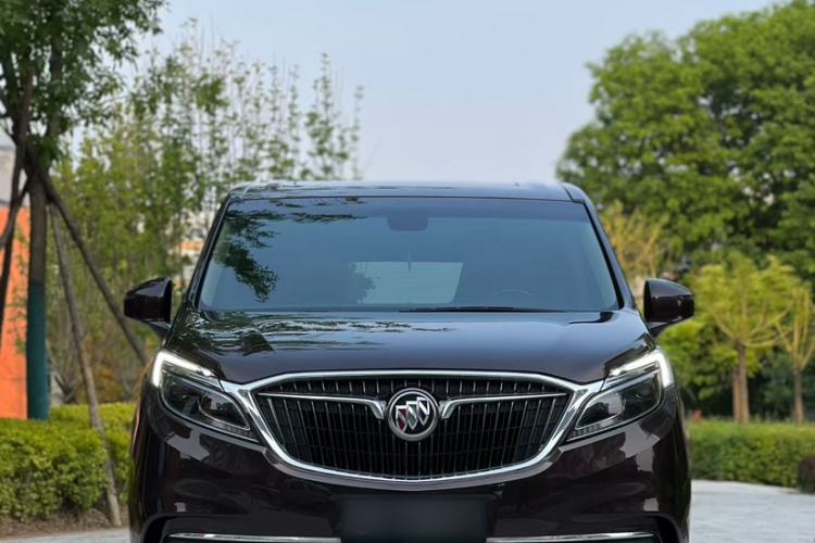 Used Buick GL8 2017 ES 28T Luxury Model China V Standard Exterior 9