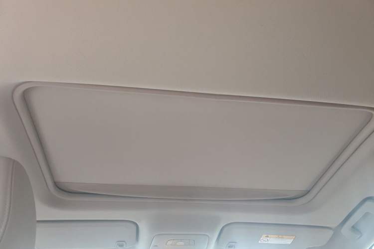 Used Buick GL8 2017 25S Luxury Version China V Standard Headliner