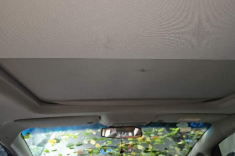 Used Buick GL8 2017 25S Luxury Version China V Standard Headliner
