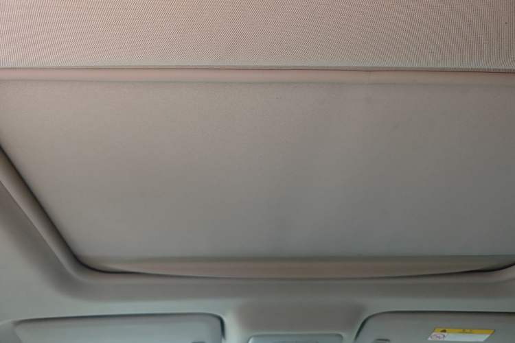 Used Buick GL8 2017 25S Luxury Version China V Standard Headliner