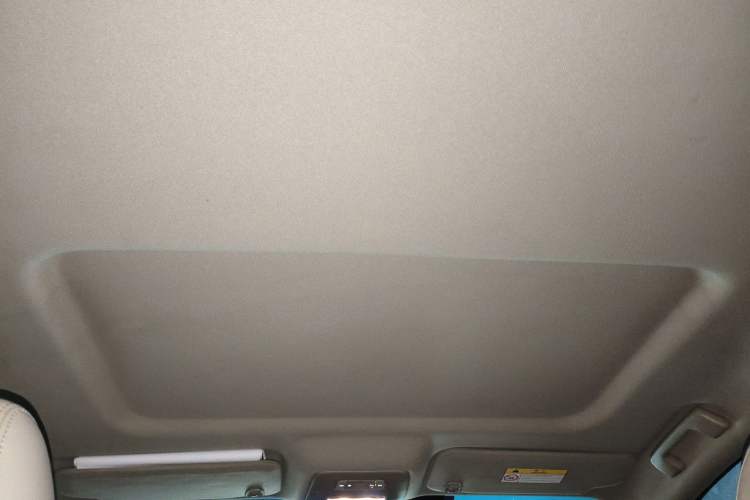 Used Buick GL8 2017 25S Comfort Version China V Standard Headliner