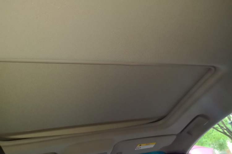 Used Buick GL8 2017 25S Luxury Version China V Standard Headliner
