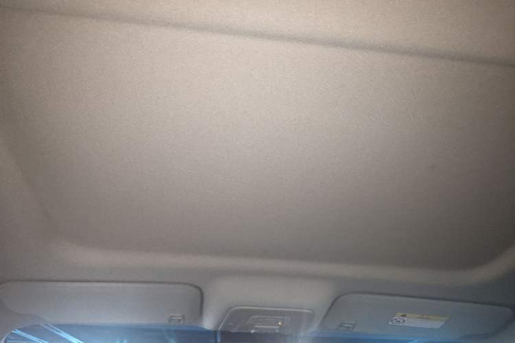 Used Buick GL8 2017 25S Comfort Version China V Standard Headliner