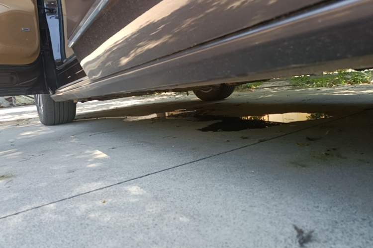 Used Buick GL8 2017 ES 28T Flagship Model China V Standard Left Side Sill