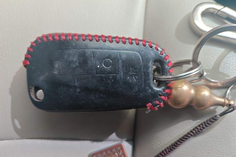Used Buick GL8 2017 25S Luxury Version China V Standard Vehicle Key