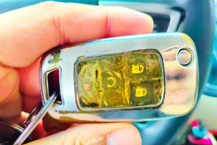 Used Buick GL8 2017 25S Comfort Version China V Standard Vehicle Key