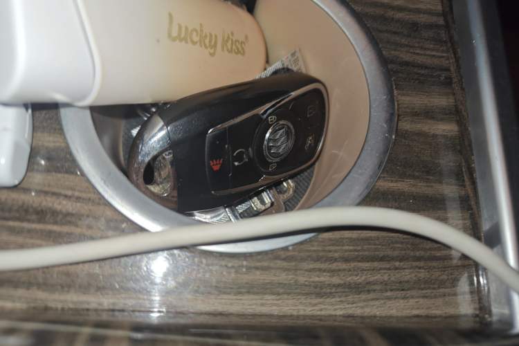 Used Buick GL8 2017 25S Luxury Version China V Standard Vehicle Key