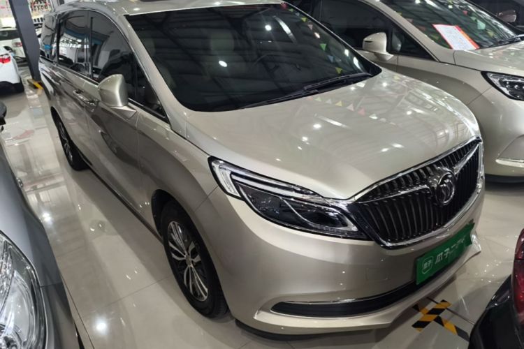 Used Buick GL8 2017 ES 28T Luxury Model China V Standard Exterior 1