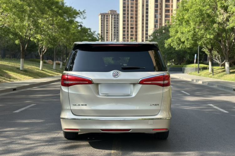 Used Buick GL8 2017 ES 28T Luxury Model China V Standard Exterior 5