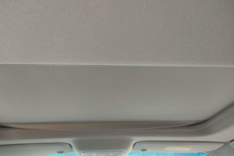 Used Buick GL8 2017 25S Prestige Version China V Standard Headliner