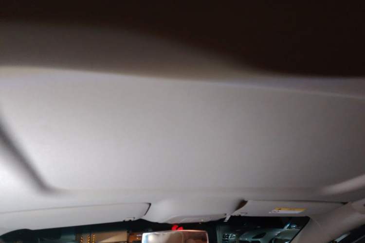 Used Buick GL8 2017 25S Comfort Version China V Standard Headliner