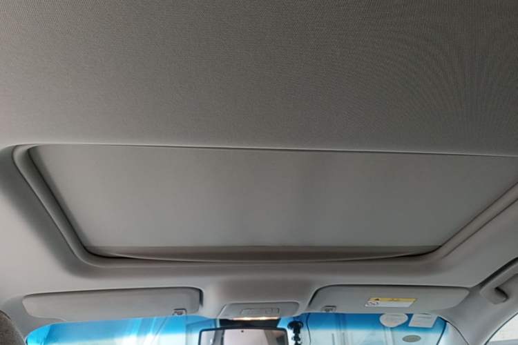 Used Buick GL8 2017 25S Luxury Version China V Standard Headliner