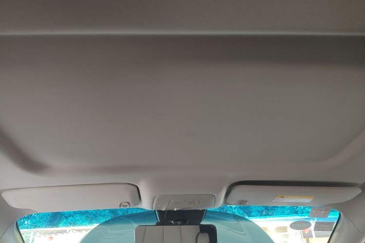 Used Buick GL8 2017 25S Comfort Version China V Standard Headliner