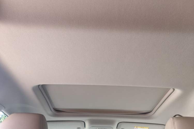 Used Buick GL8 2017 25S Prestige Version China V Standard Headliner