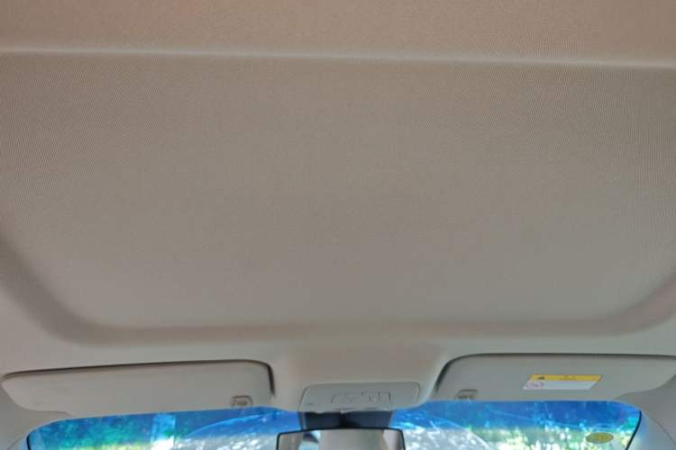 Used Buick GL8 2017 25S Comfort Version China V Standard Headliner