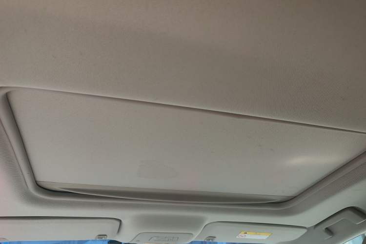 Used Buick GL8 2017 25S Luxury Version China V Standard Headliner