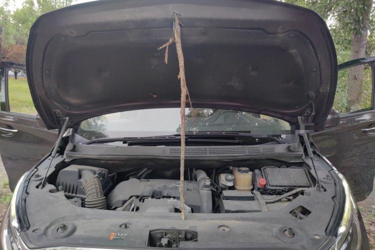 Used Buick GL8 2017 ES 28T Luxury Model China V Standard Engine Bay