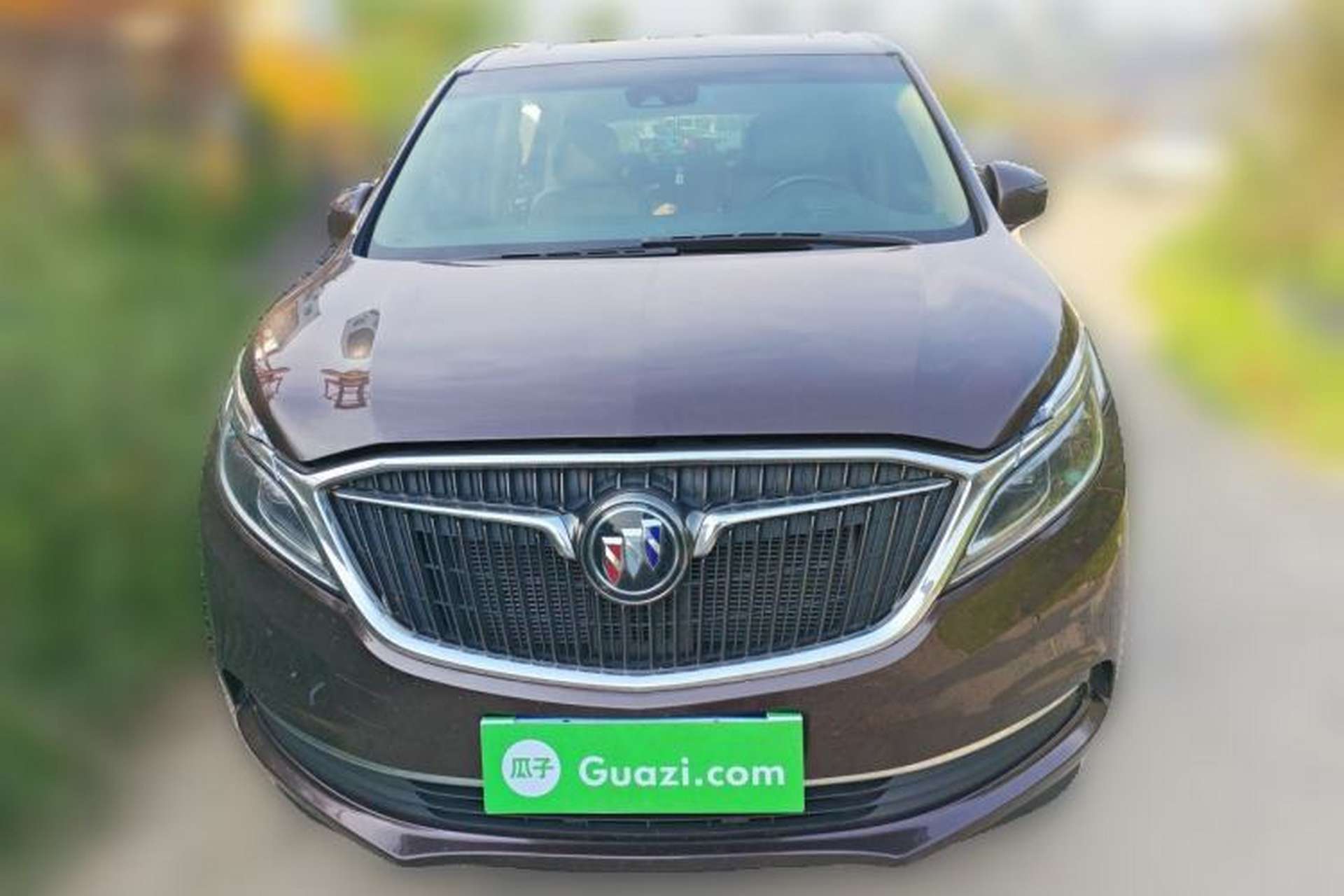 Used Buick GL8 2017 ES 28T Flagship Model China V Standard Front