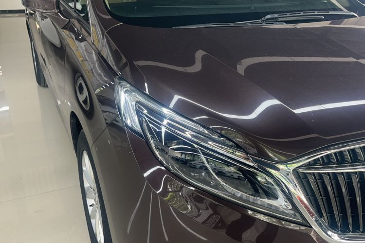 Used Buick GL8 2017 ES 28T Premium Version China V Standard Exterior 15