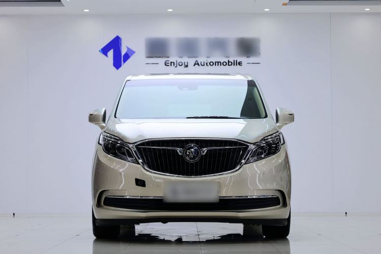 Used Buick GL8 2017 ES 28T Flagship Model China V Standard Exterior 1